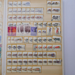 Lot de timbres de Grèce oblitérés en un album.