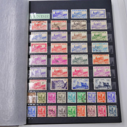 Lot de timbres de Tunisie neufs et oblitérés en un album.