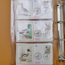 Vrac philatélique de timbres du monde neufs et oblitérés en un carton.