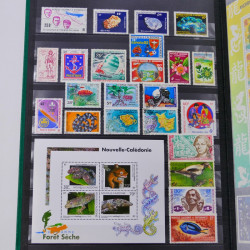 Lot massif de timbres du monde neufs et oblitérés en 8 albums.