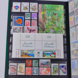 Lot massif de timbres du monde neufs et oblitérés en 8 albums.