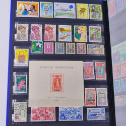 Lot massif de timbres du monde neufs et oblitérés en 8 albums.