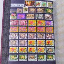 Lot massif de timbres du monde neufs et oblitérés en 8 albums.