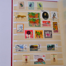 Lot massif de timbres du monde neufs et oblitérés en 9 albums.