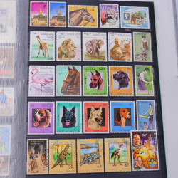 Lot massif de timbres du monde neufs et oblitérés en 9 albums.