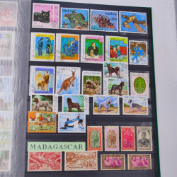 Lot massif de timbres du monde neufs et oblitérés en 9 albums.