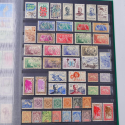 Lot massif de timbres du monde neufs et oblitérés en 9 albums.