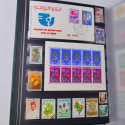 Lot massif de timbres du monde neufs et oblitérés en 9 albums.