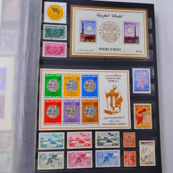 Lot massif de timbres du monde neufs et oblitérés en 9 albums.