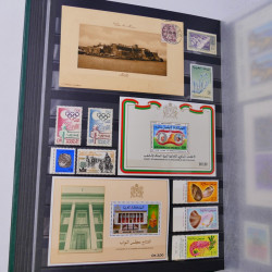 Lot massif de timbres du monde neufs et oblitérés en 9 albums.