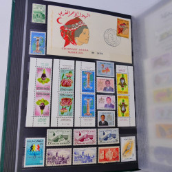 Lot massif de timbres du monde neufs et oblitérés en 9 albums.