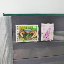 Lot massif de timbres du monde neufs et oblitérés en 9 albums.