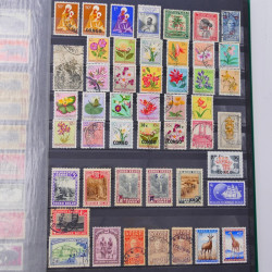 Lot massif de timbres du monde neufs et oblitérés en 10 albums.