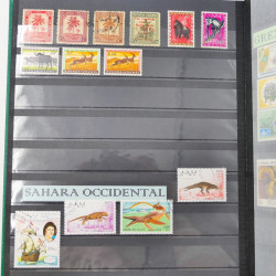 Lot massif de timbres du monde neufs et oblitérés en 10 albums.