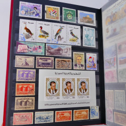 Lot massif de timbres du monde neufs et oblitérés en 10 albums.