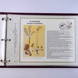 Collection documents premier jour de timbres de France 1987-1996 complet en 10 albums.