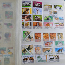 Vrac massif de timbres du monde neufs et oblitérés en un carton.