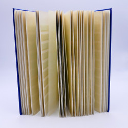 Classeur Lindner 64 pages subdivisées pour stock de timbres.