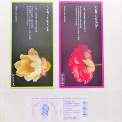 Collection timbres de France 2005-2006 neufs** et oblitérés complet en album Safe.