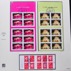 Collection timbres de France 2005-2006 neufs** et oblitérés complet en album Safe.