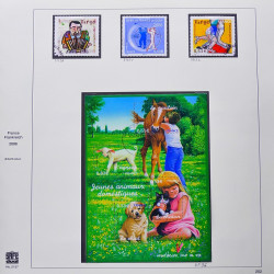 Collection timbres de France 2005-2006 neufs** et oblitérés complet en album Safe.