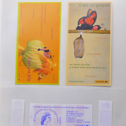 Collection timbres de France 2003-2004 neufs** et oblitérés complet en album Safe.