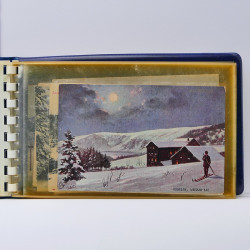 Collection de cartes postales thématiques Ski en un album.