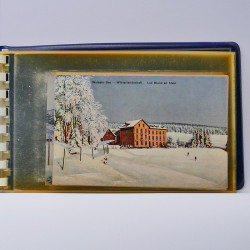 Collection de cartes postales thématiques Ski en un album.