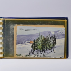 Collection de cartes postales thématiques Ski en un album.