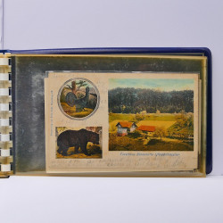 Collection de cartes postales thématiques Ski en un album.