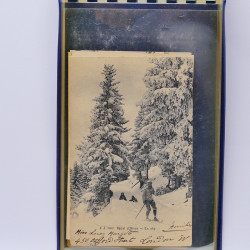 Collection de cartes postales thématiques Ski en un album.