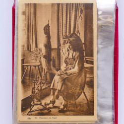 Collection de cartes postales thématiques Costumes Alsaciens en un album.