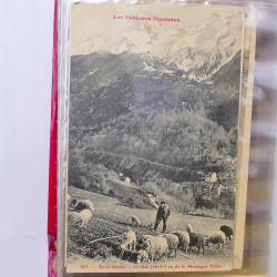 Collection de cartes postales thématiques Costumes Alsaciens en un album.