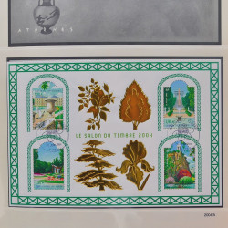 Collection timbres de France 2002-2004 oblitérés en album Safe.