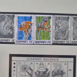 Collection timbres de Guernesey 1977-1994 oblitérés en album Safe.