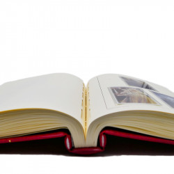 Collection timbres de Nouvelle Zélande 1931-2015 oblitérés en 2 albums Leuchtturm.