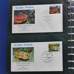 Collection enveloppes FDC Polynésie Française 1987-1992 en 2 albums.
