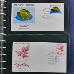 Collection enveloppes FDC Polynésie Française 1987-1992 en 2 albums.