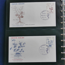 Collection enveloppes FDC Polynésie Française 1987-1992 en 2 albums.