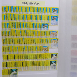 Vrac philatélique de timbres du monde neufs et oblitérés en un carton.