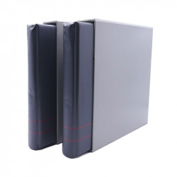 Collection timbres thématiques Ski - sports d'hiver en 2 albums.