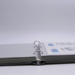 Collection timbres thématiques Ski - sports d'hiver en 2 albums.