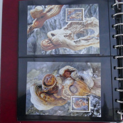 Collection commémoratifs thématique Noel en un album.