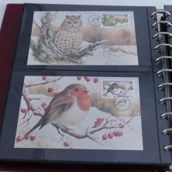 Collection commémoratifs thématique Noel en un album.