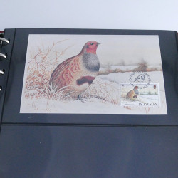 Collection commémoratifs thématique Noel en un album.