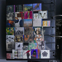 Lot massif de timbres d'Europe neufs et oblitérés en 4 albums.