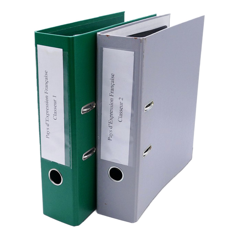 Lot massif de timbres de pays d'expression Française neufs et oblitérés en 2 albums.