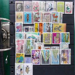 Lot massif de timbres de pays d'expression Française neufs et oblitérés en 2 albums.