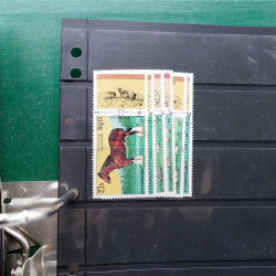 Lot massif de timbres de pays d'expression Française neufs et oblitérés en 2 albums.