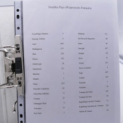 Lot massif de timbres de pays d'expression Française neufs et oblitérés en 2 albums.